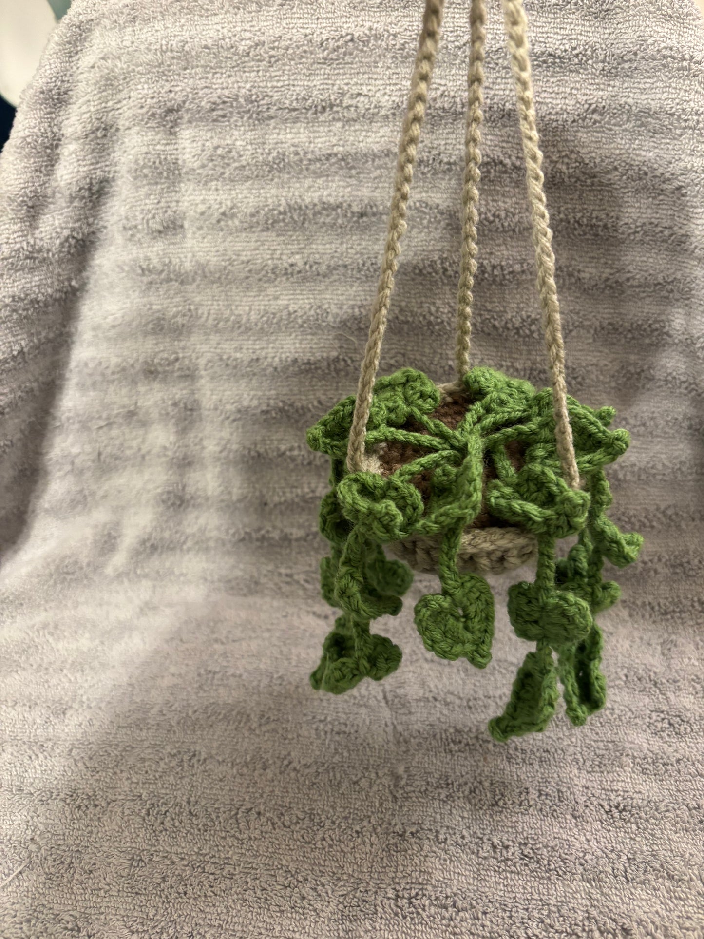 Crochet hanging plant